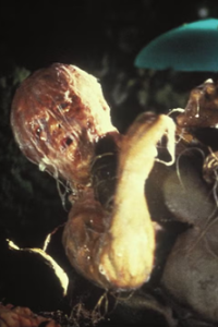 Invasion of the Body Snatchers